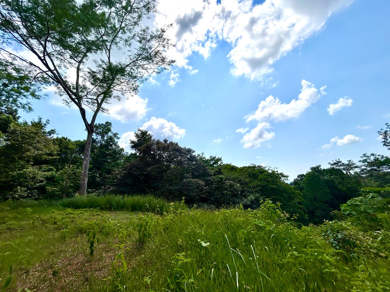Beautiful Lot in Phase 9 Ojochal, Gated Communuity 