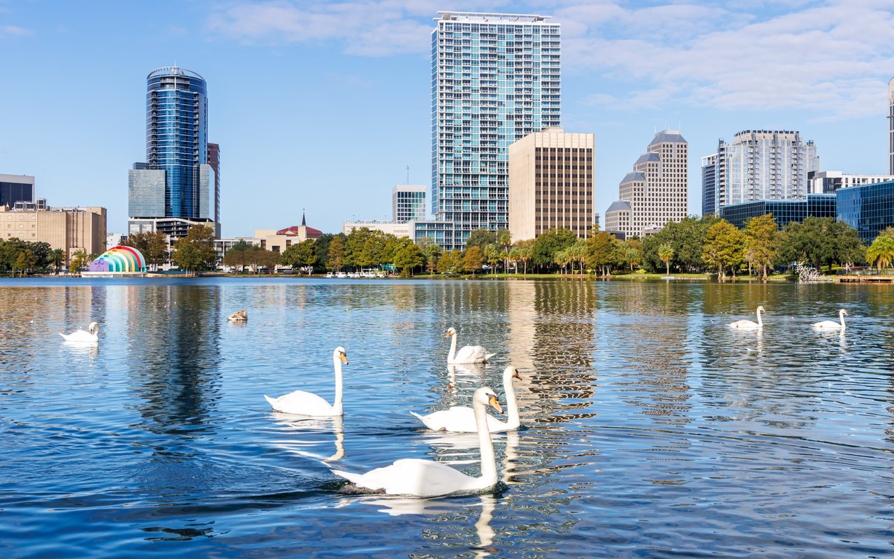 Orlando
