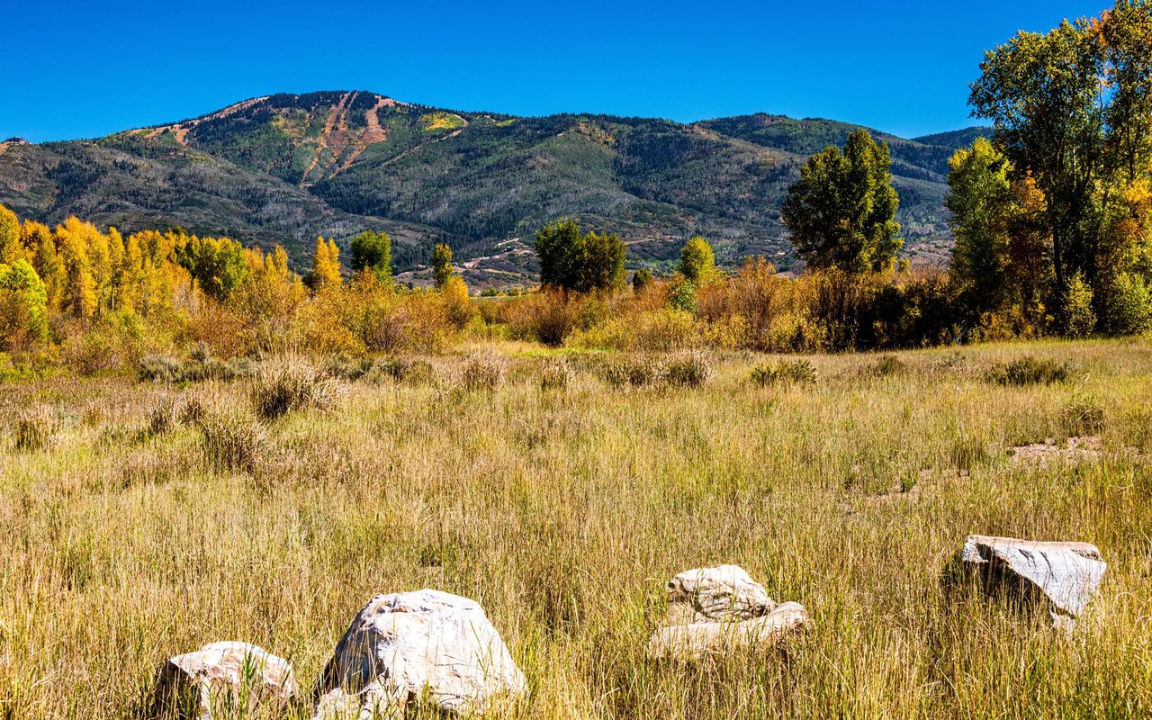 Mountain Area