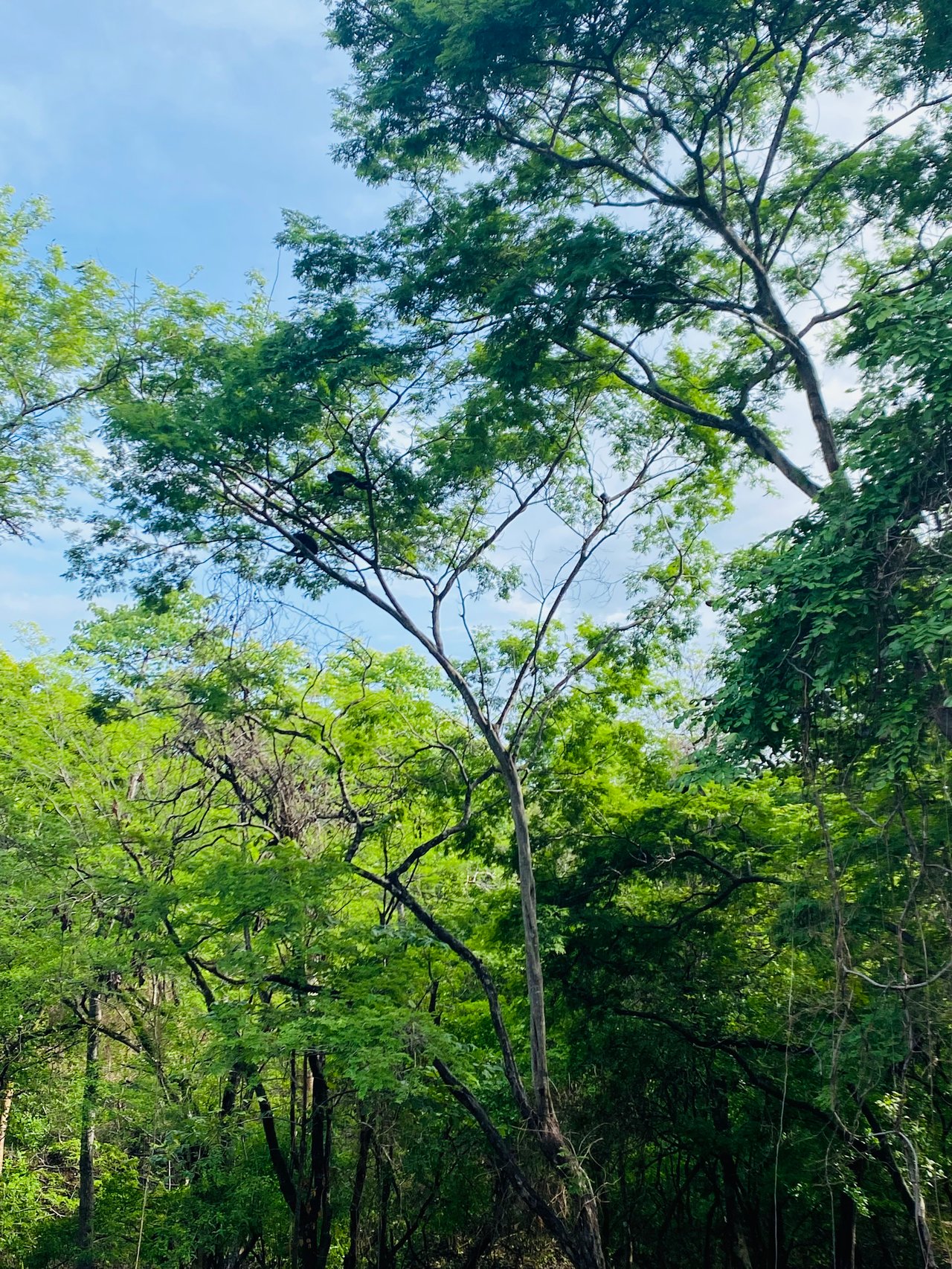 Valle Escondido