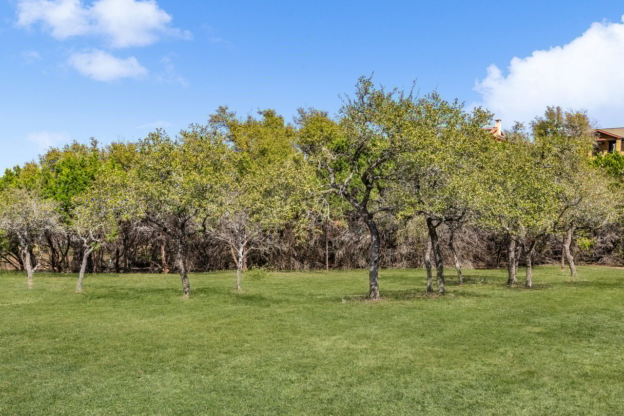 12108 Honey Mesquite Way