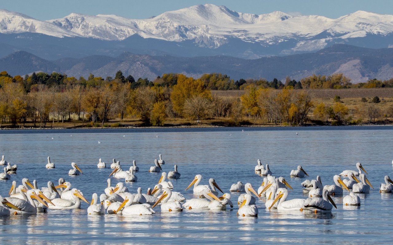 Cherry Creek