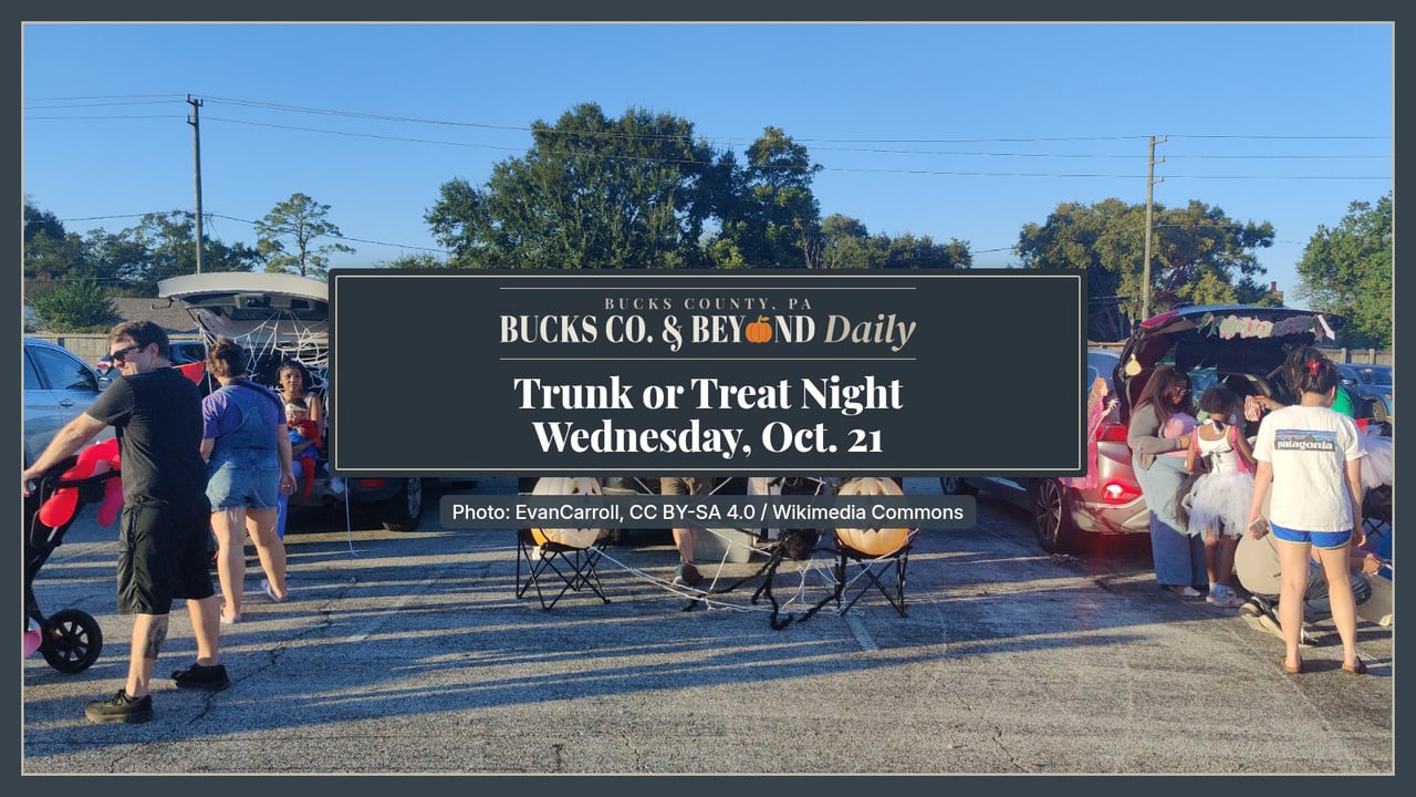 Decorated SUVs with open trunks, spiderwebs and jack-o'-lanterns at a sunny outdoor trunk-or-treat in a parking lot.