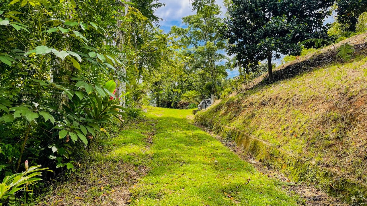 Scenic 2.53 Acres in Fila Cacao Ridge – Build-Ready Lot with Legal Water in Platanillo!