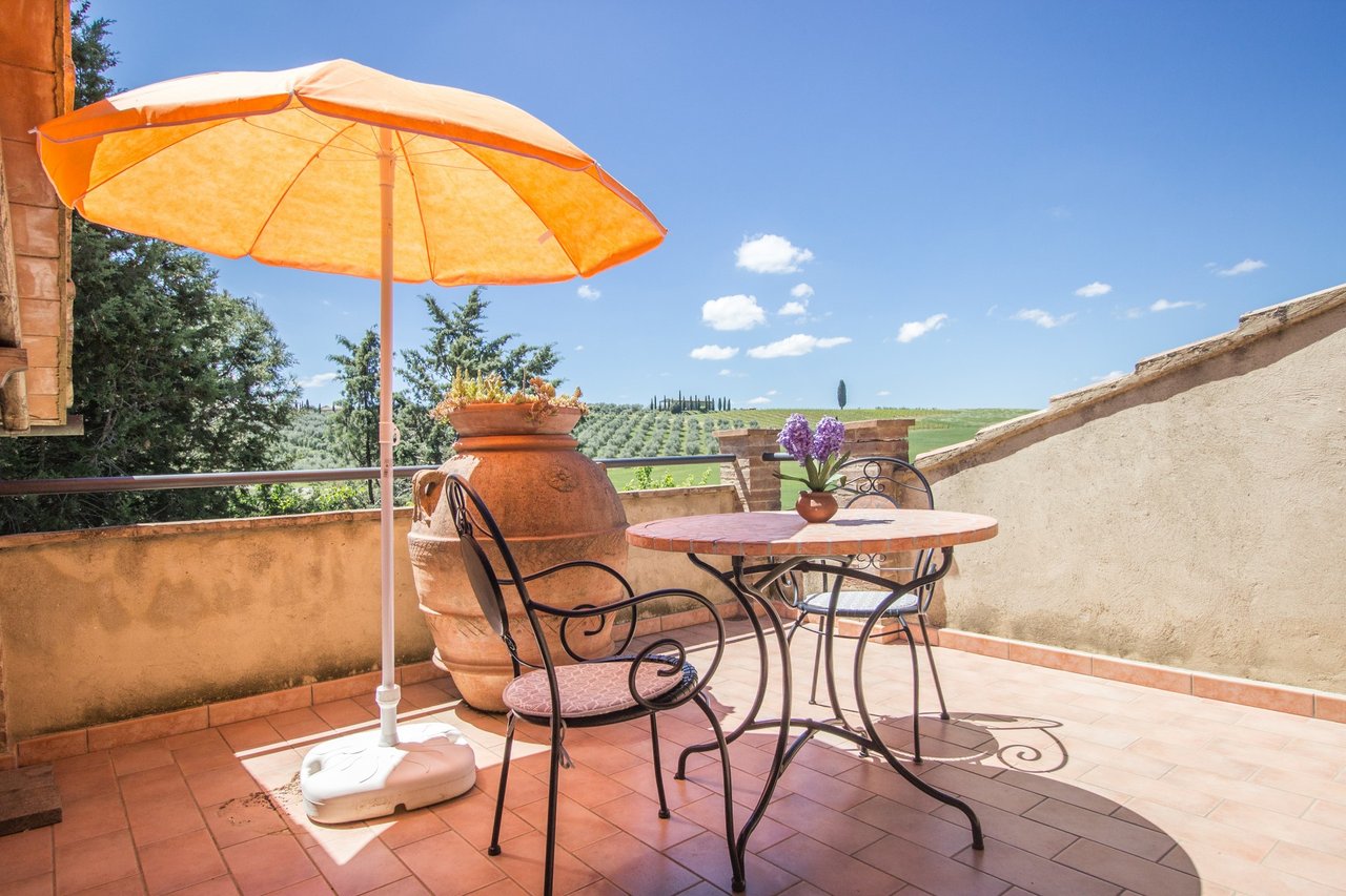 Organic Agriturismo in Cinigiano