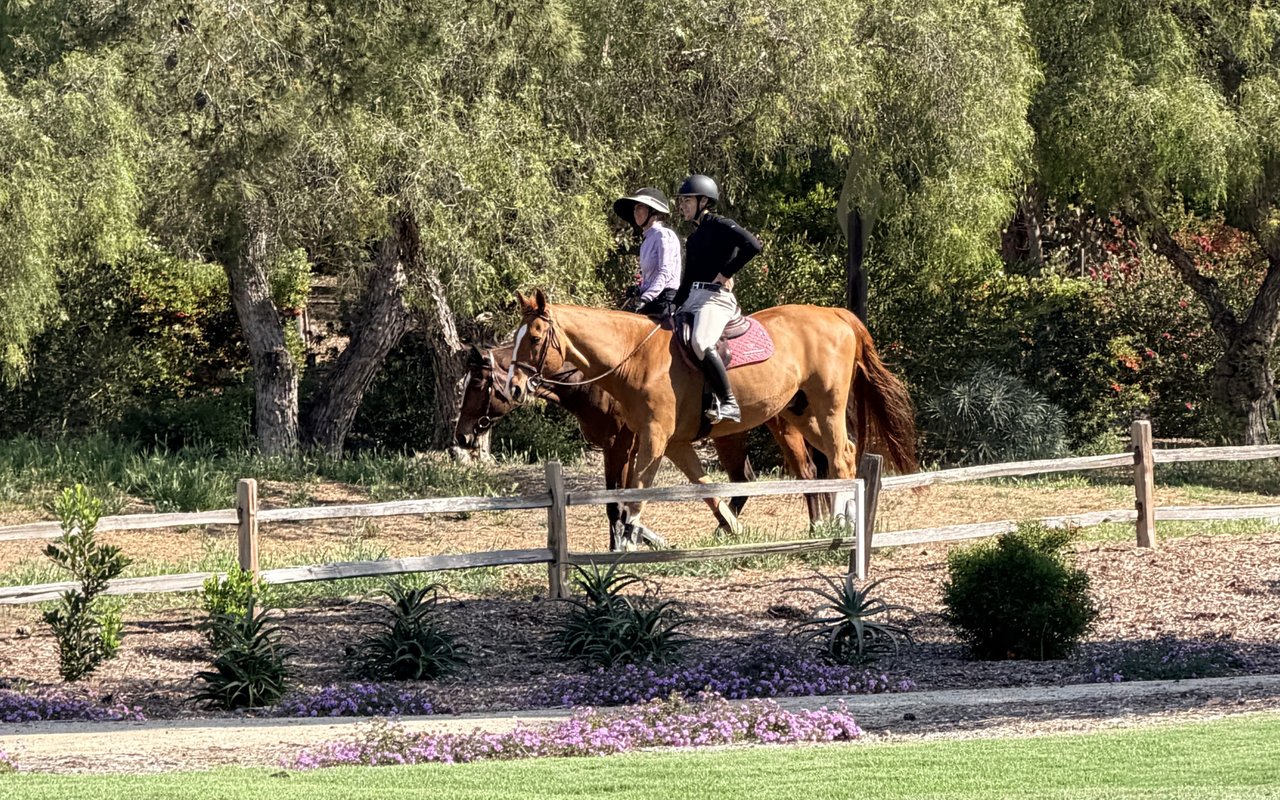 Melinda Stockmal Rancho Santa Fe equestrian properties