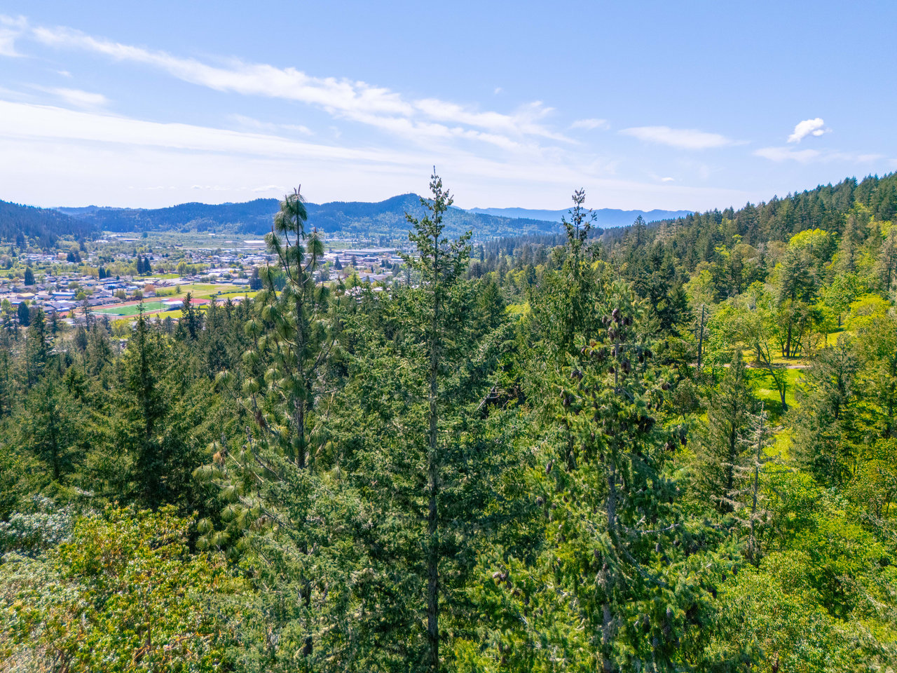 SUTHERLIN HEIGHTS