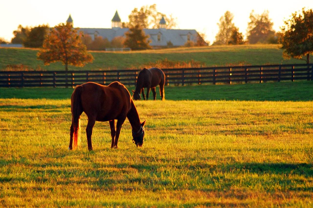 Kentucky