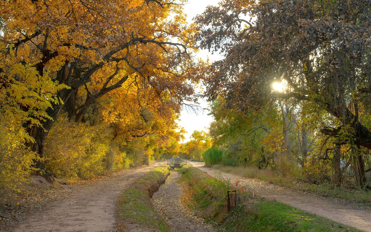 Village of Corrales