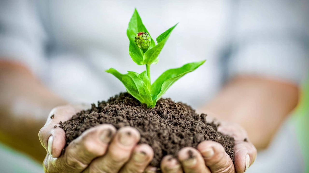 Earth Day, Earth Life