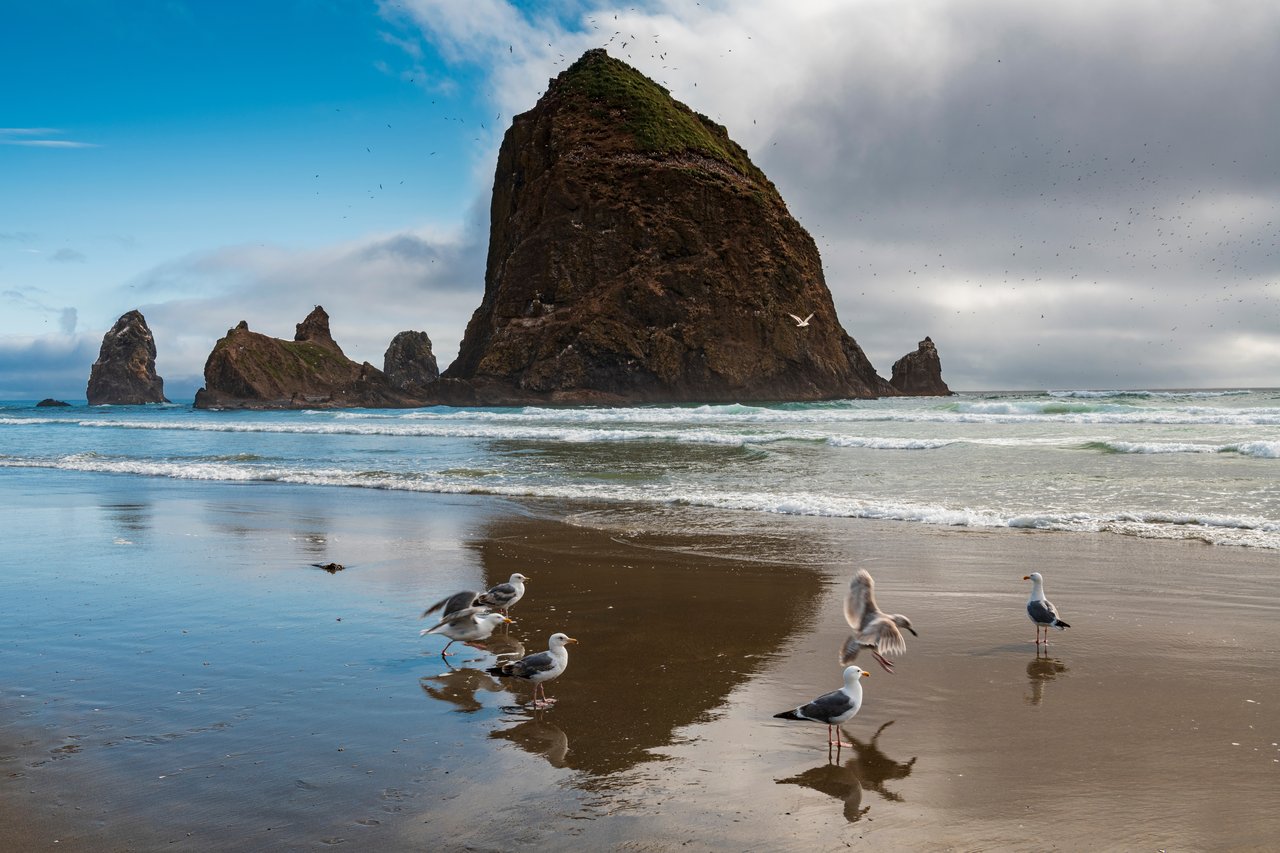 Oregon Coast