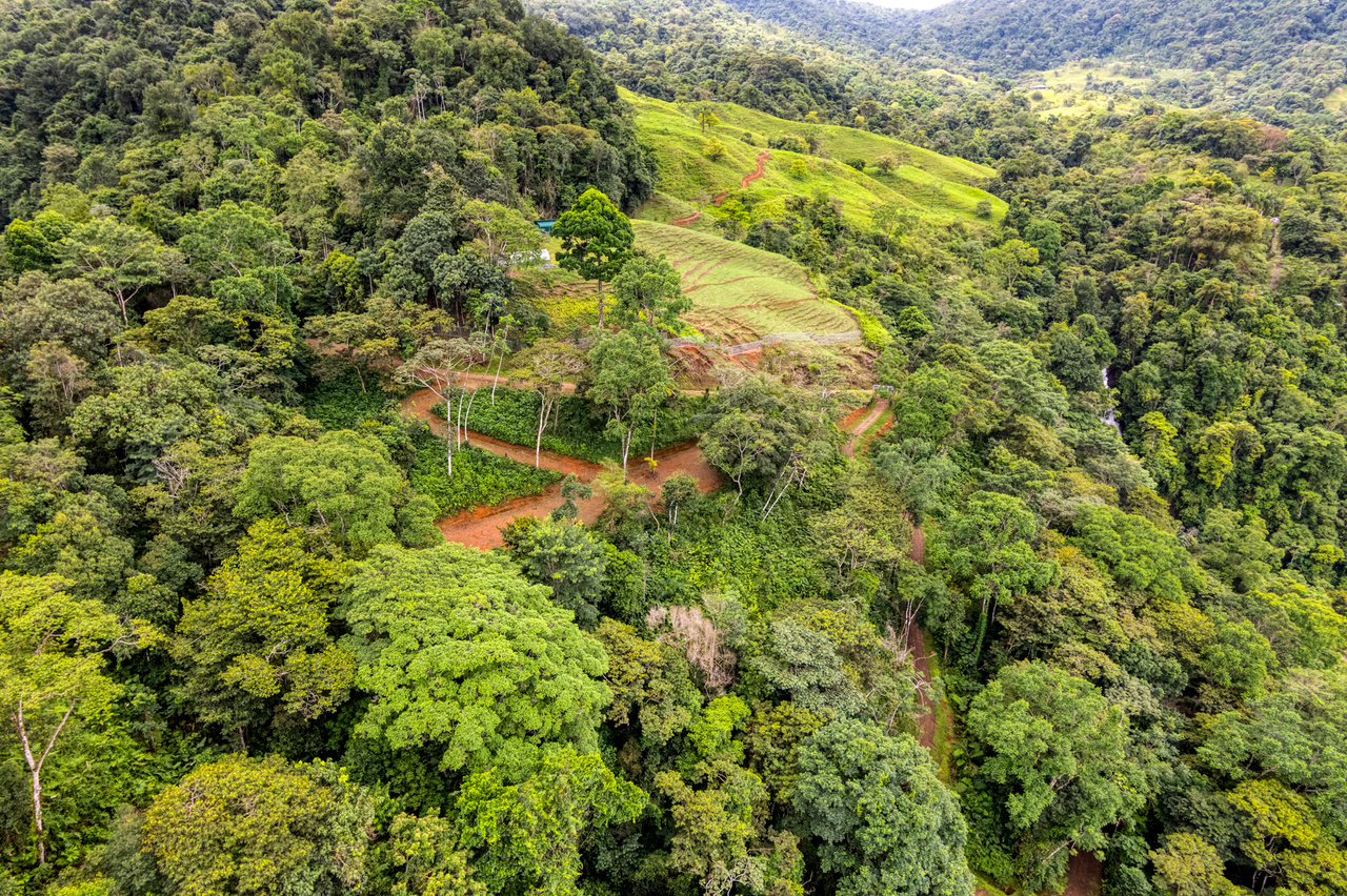 Once in a Lifetime Waterfall Farm in a Pristine Biological Corridor