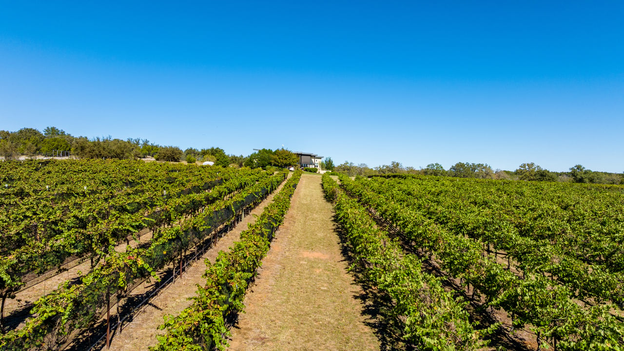 Round Mountain Vineyard