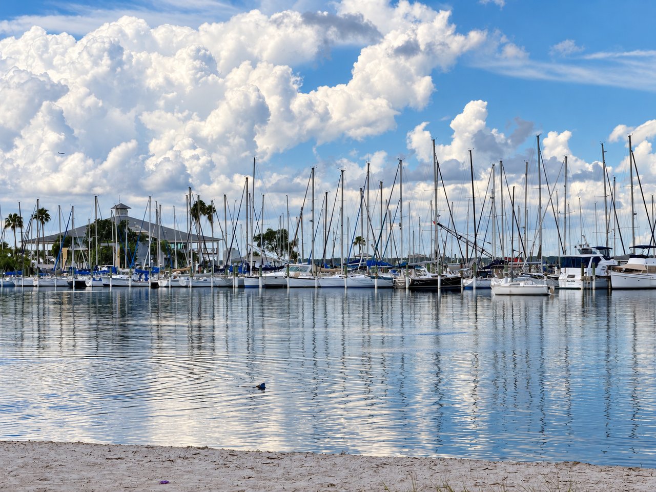 Sailboats moored at Davis Island Yacht Club on Davis Islands, Tampa