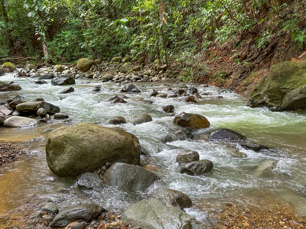 Rainforest Home with River, Jungle Trails & Pool in Ojochal