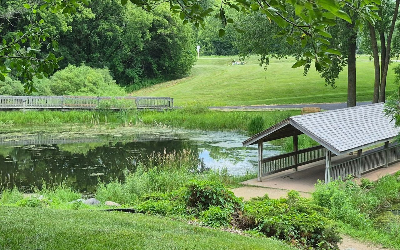 Discover Life in Token Creek: A Hidden Gem in the Town of Burke