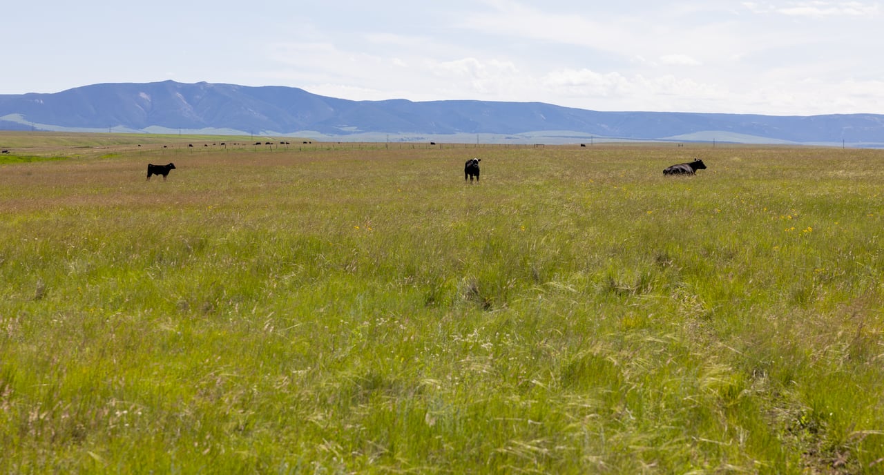 Hauck Coulee Ranch