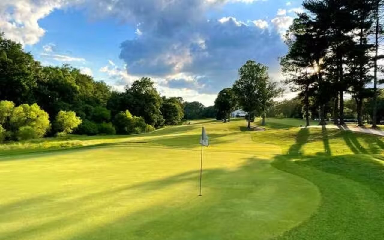 Bay Hills
