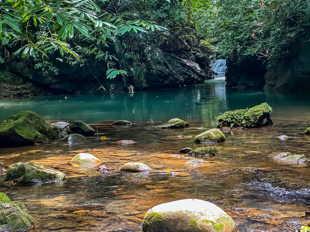 Jungle Home with Riverfront and Orchard in Ojochal Costa Rica