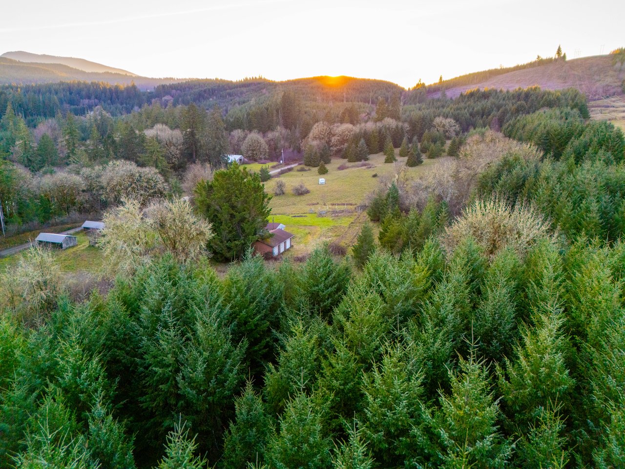 HARRIS FARM & FOREST