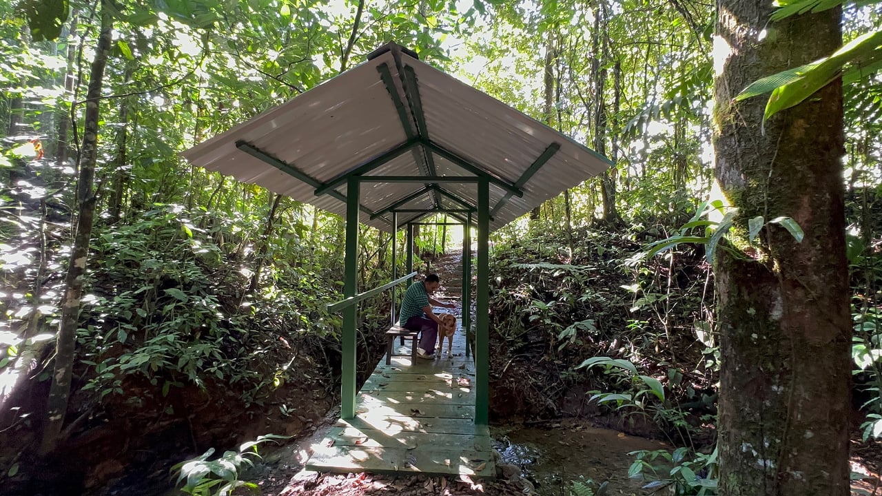 Sustainable Living Farm to Table with Home, Guest House ,Tinamastes on the River
