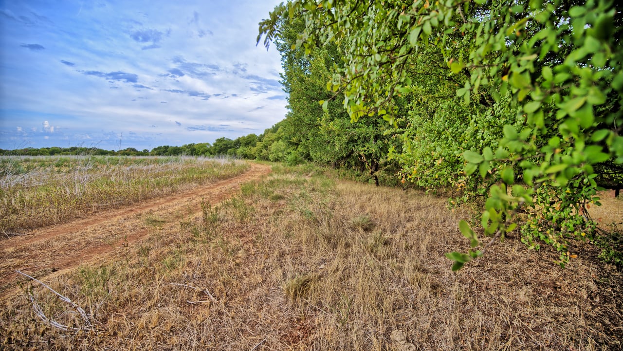 Cross Creek Ranch 