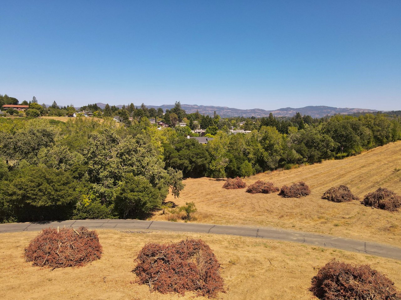 Tambor Vineyard Estate