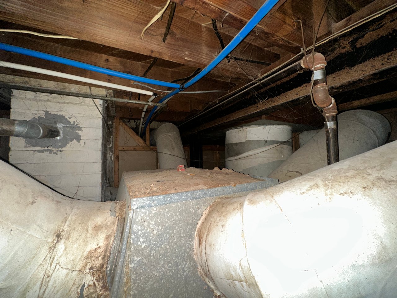 16592 Saint Marys St