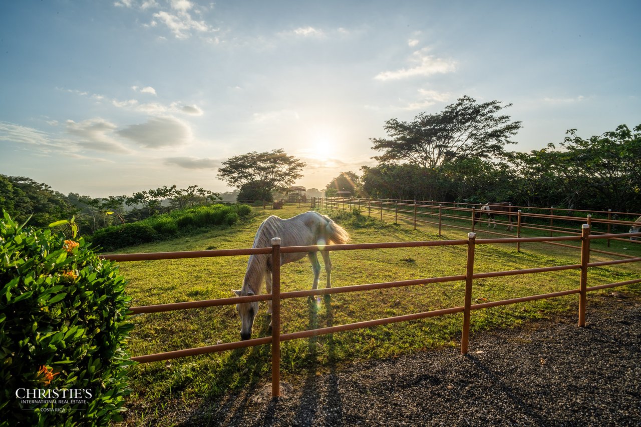 Finca Sweet Prince – A Private Equestrian Estate of Unmatched Elegance