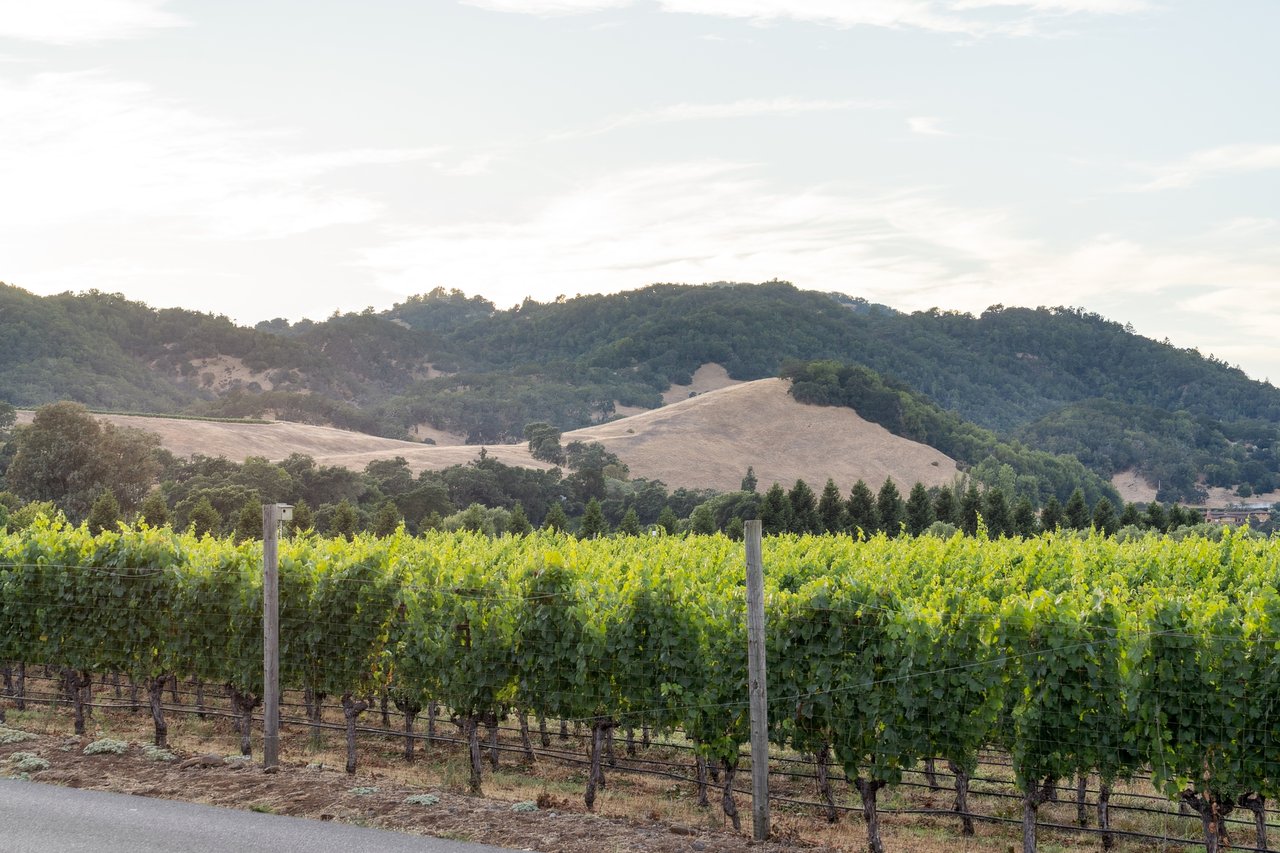 Sonoma’s Premier Wine Country Estate