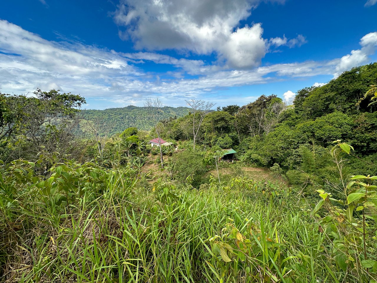 Tinamastes Costa Rica Property with Home, Yoga Deck & Land