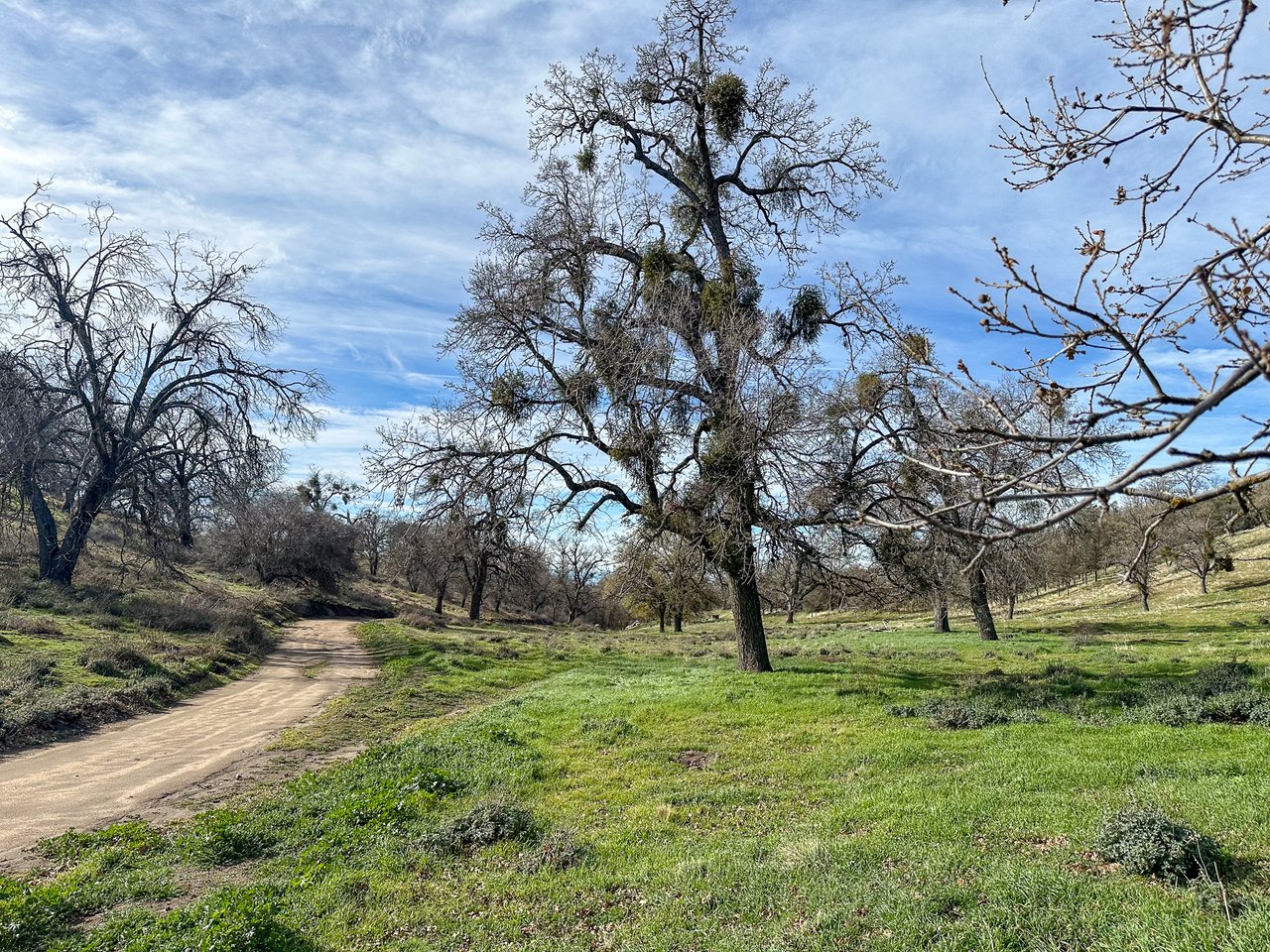 2,399.66 +/- Acres of Grazing Land on Rancheria Rd.