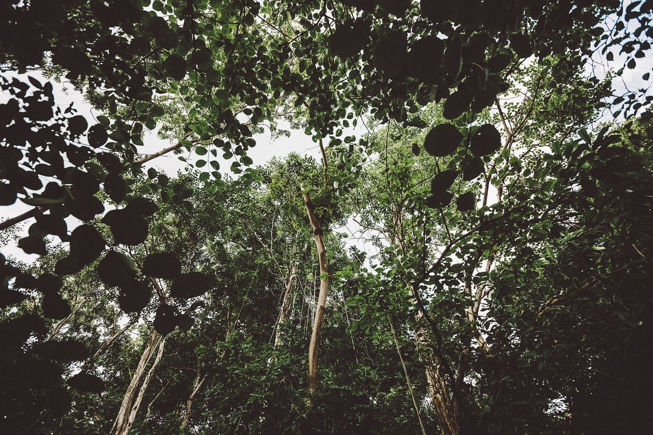  Punta Sabana & Mar Serena