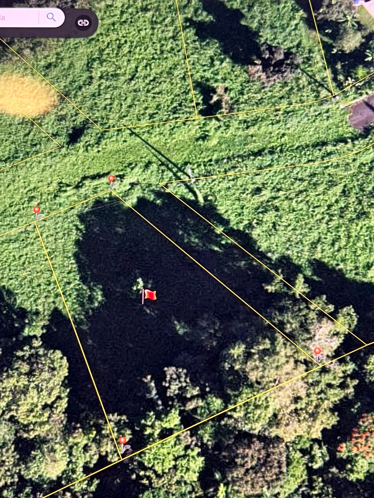 HACIENDA LA CEIBA RIO GRANDE
