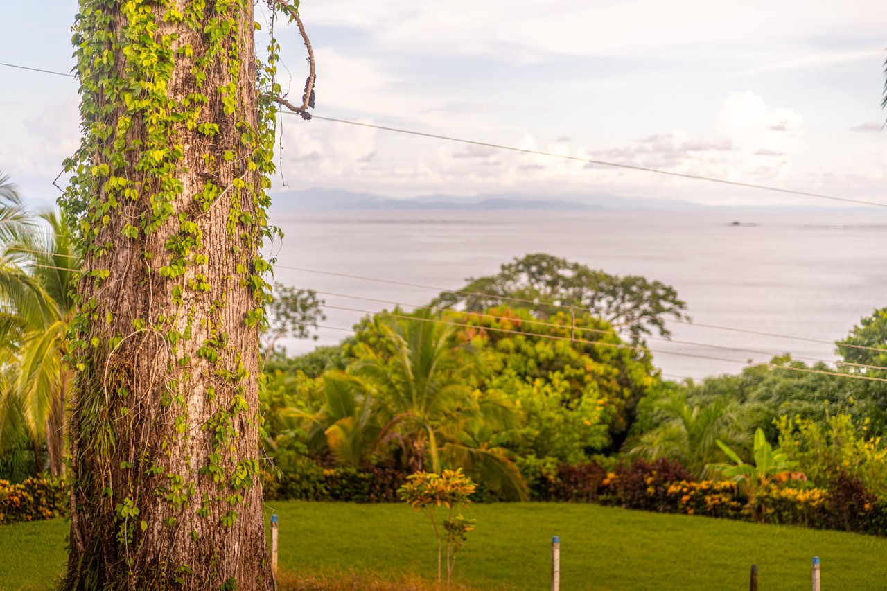 Classic Luxury at Casa Ceiba, Coastal Ocean View 4 Bedroom Home Near Uvita