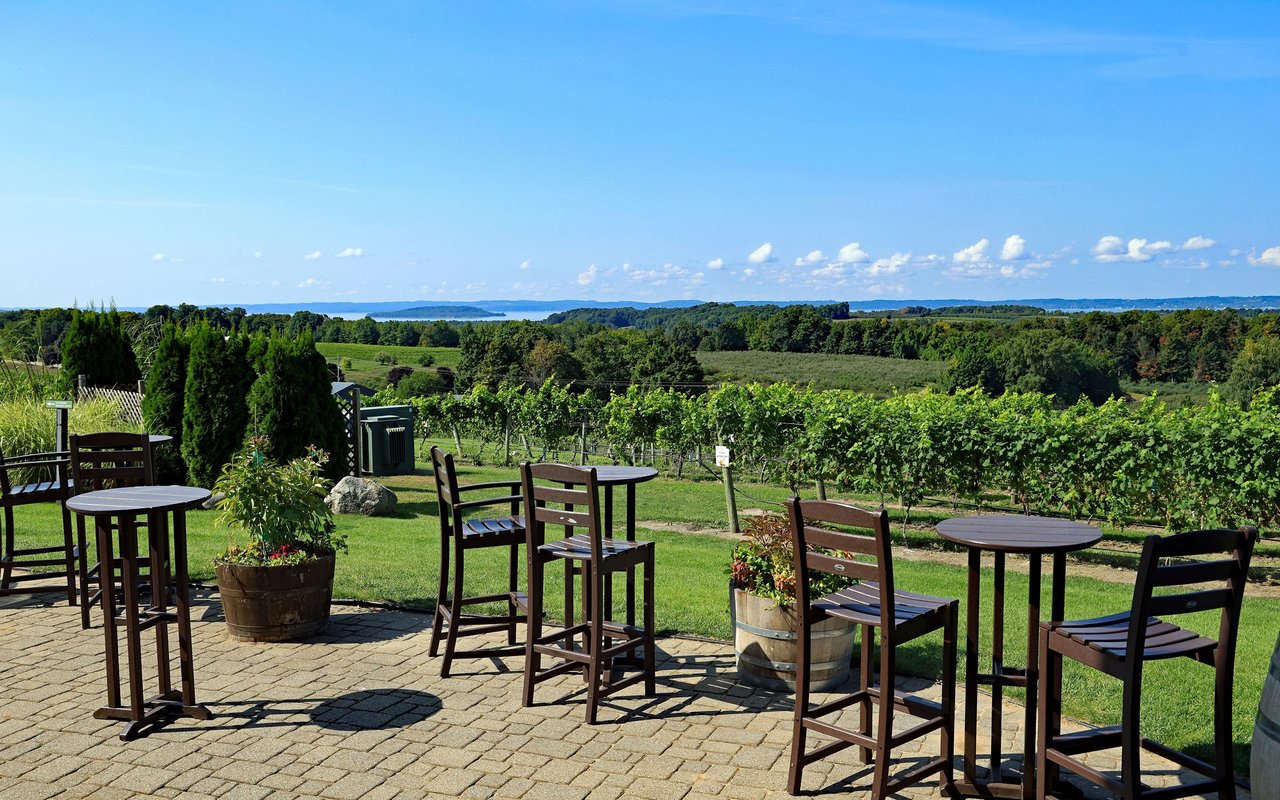 Patio seating overlooking vineyard rows, wooded hills, and a distant lake.
