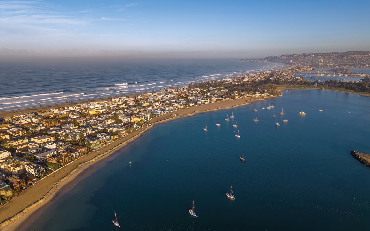 the san diego rennie advance | February 2026