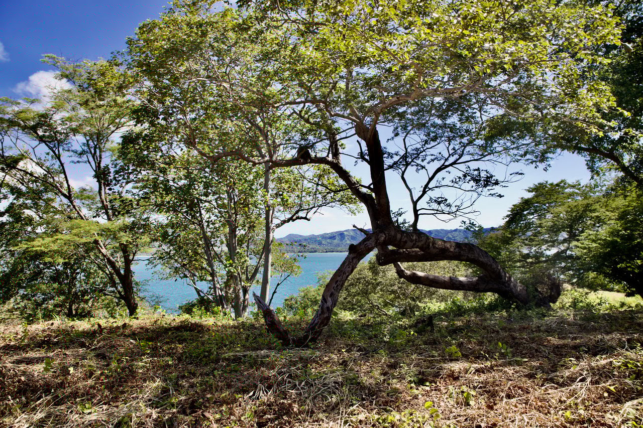 Titled Beachfront Development Parcel