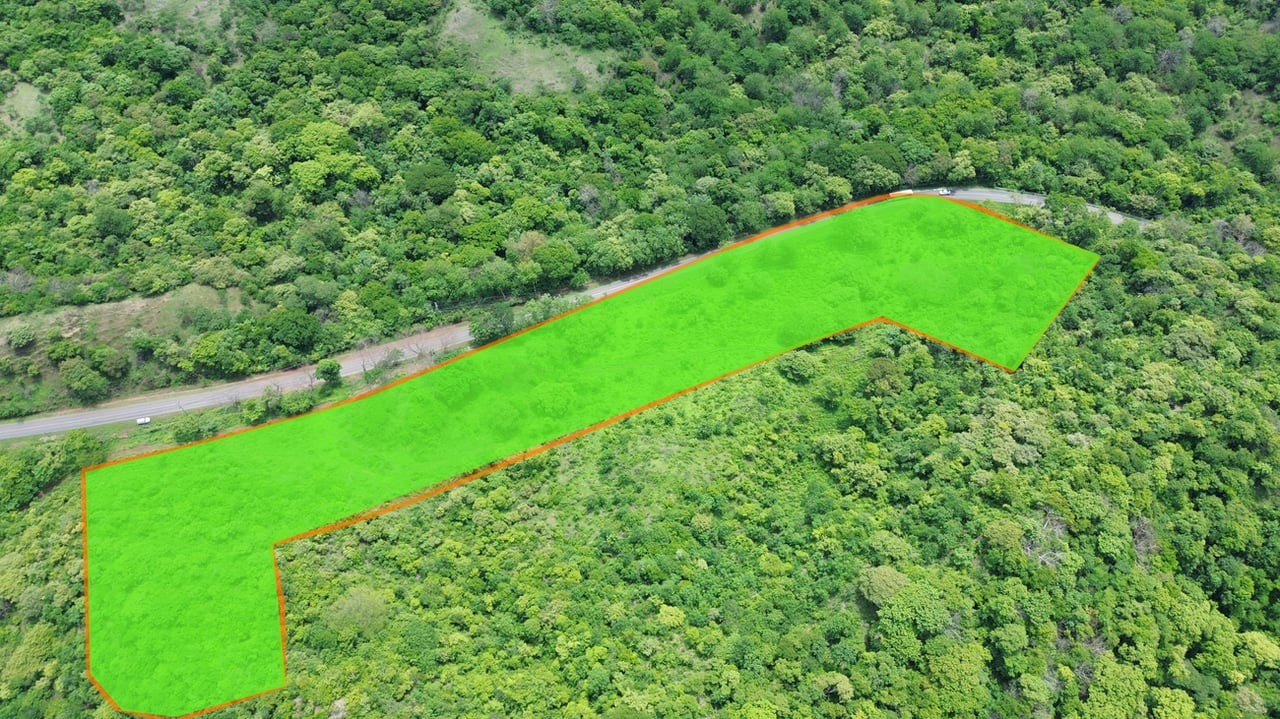 MAIN ROAD PARCEL - COYOLITO 