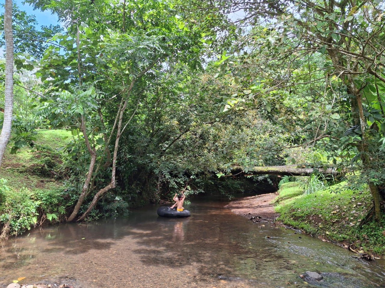 Eco Property Media Luna