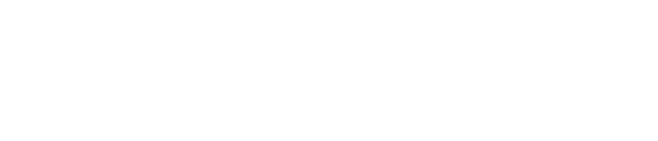 Light Logo