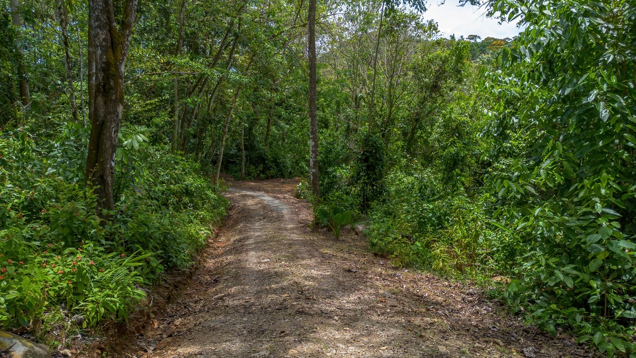 Casa Oropéndula - Modern Jungle Home for Sale Near Dominical, Costa Rica | 3BR, 2.5BA, 3.44 Acres with Creek