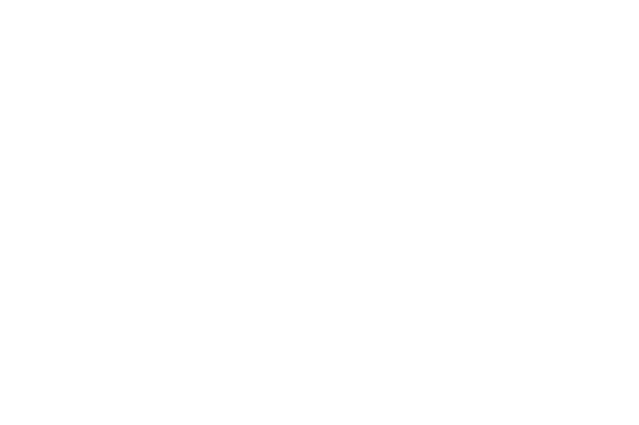 Sandra Maldonado The Realtor