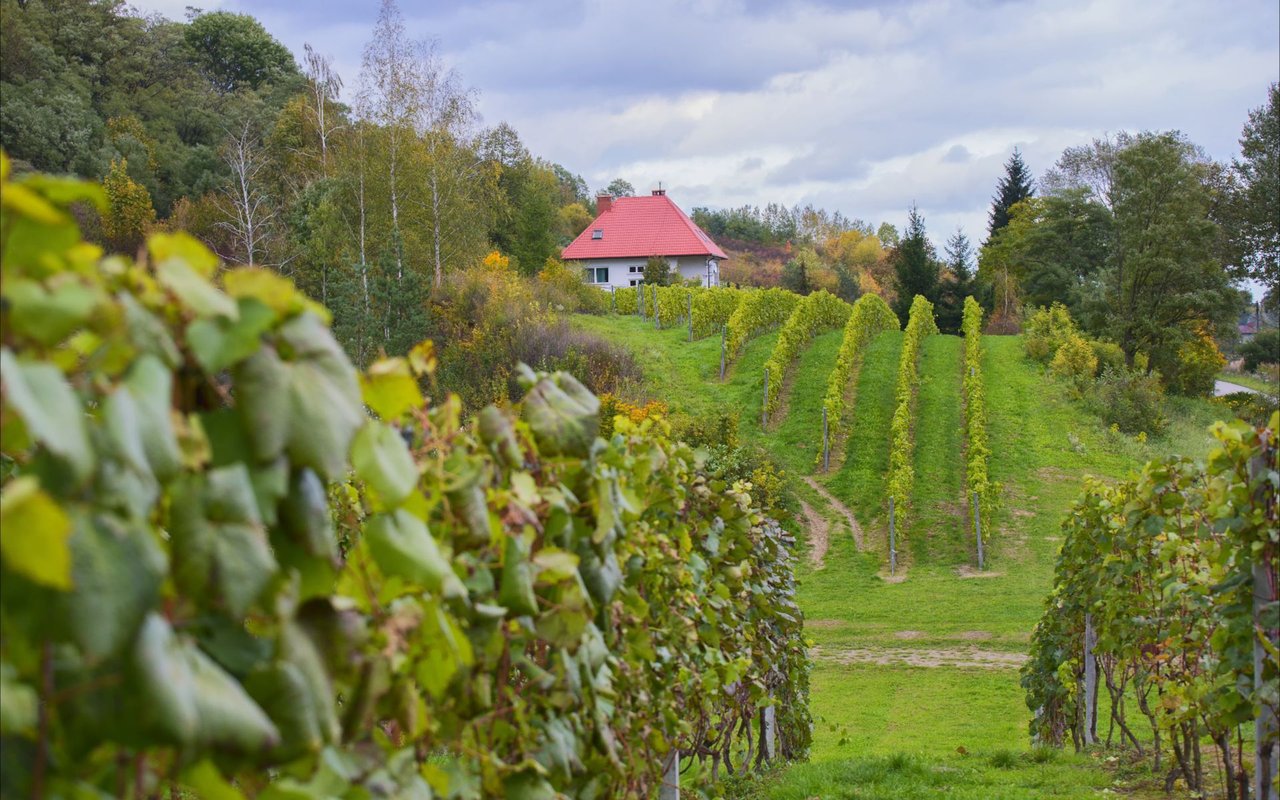 Solebury