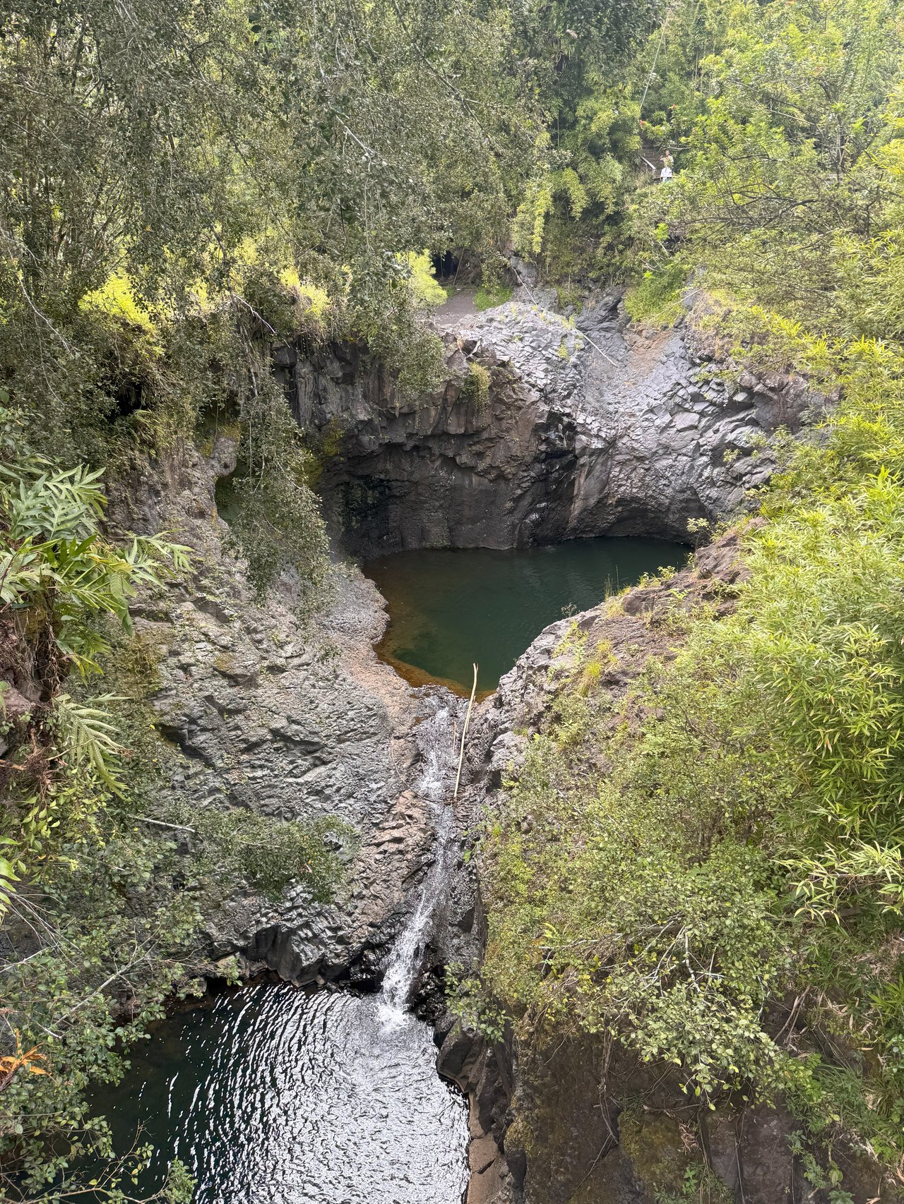 Hiking the Pipiwai Trail in Hana