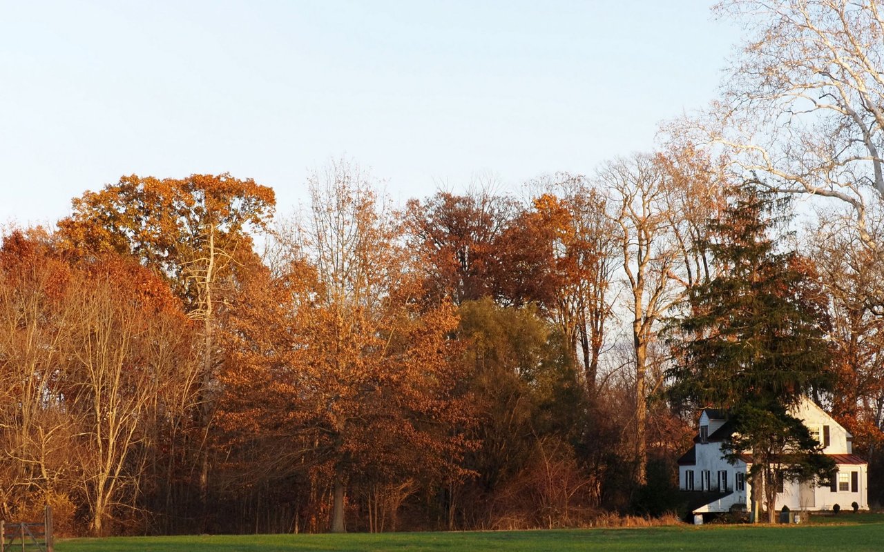 5 Reasons You'll Fall in Love Buying a Home in The Fall