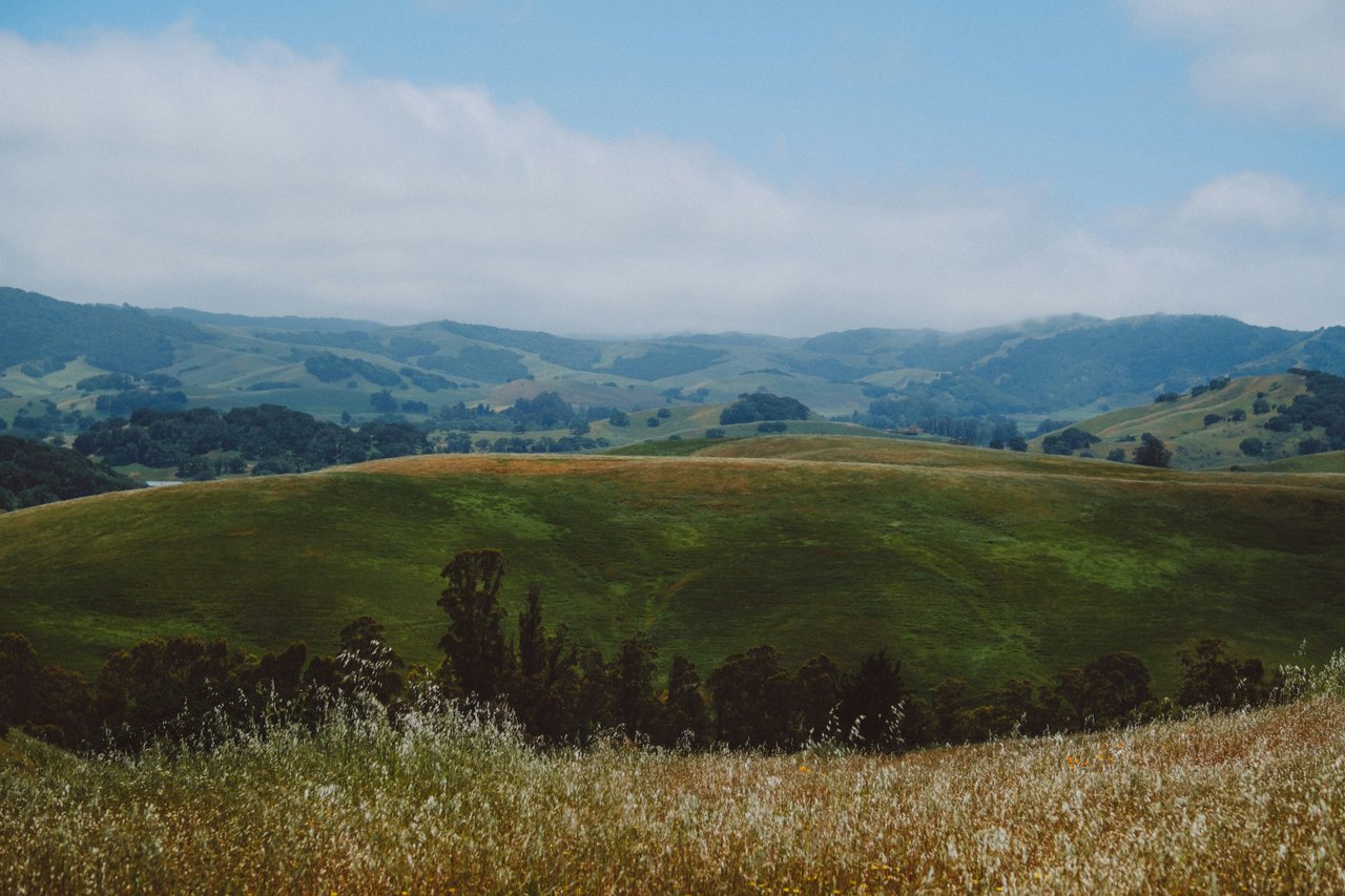 Green hills and scenic nature at Helen Putnam Park in Petaluma, Sonoma County