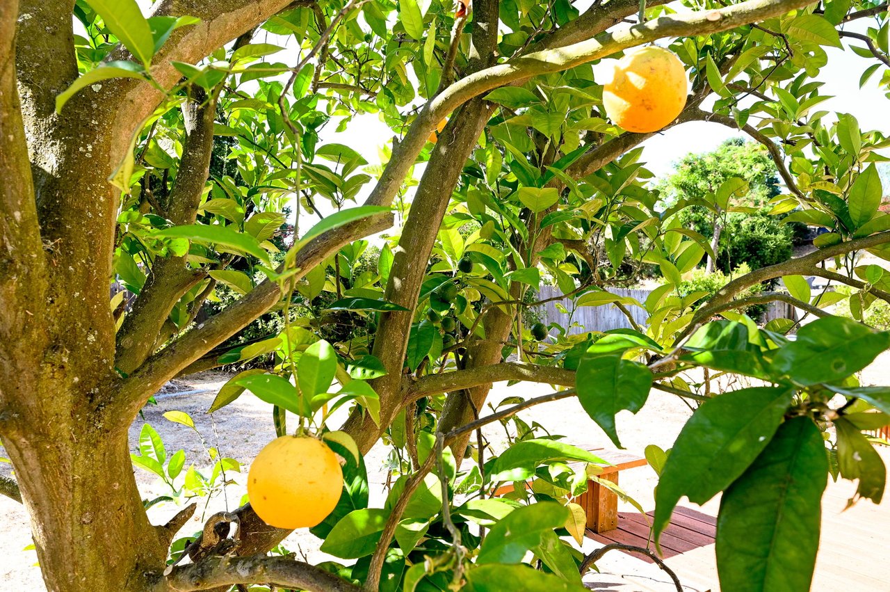 412 Duvall Ct, Benicia