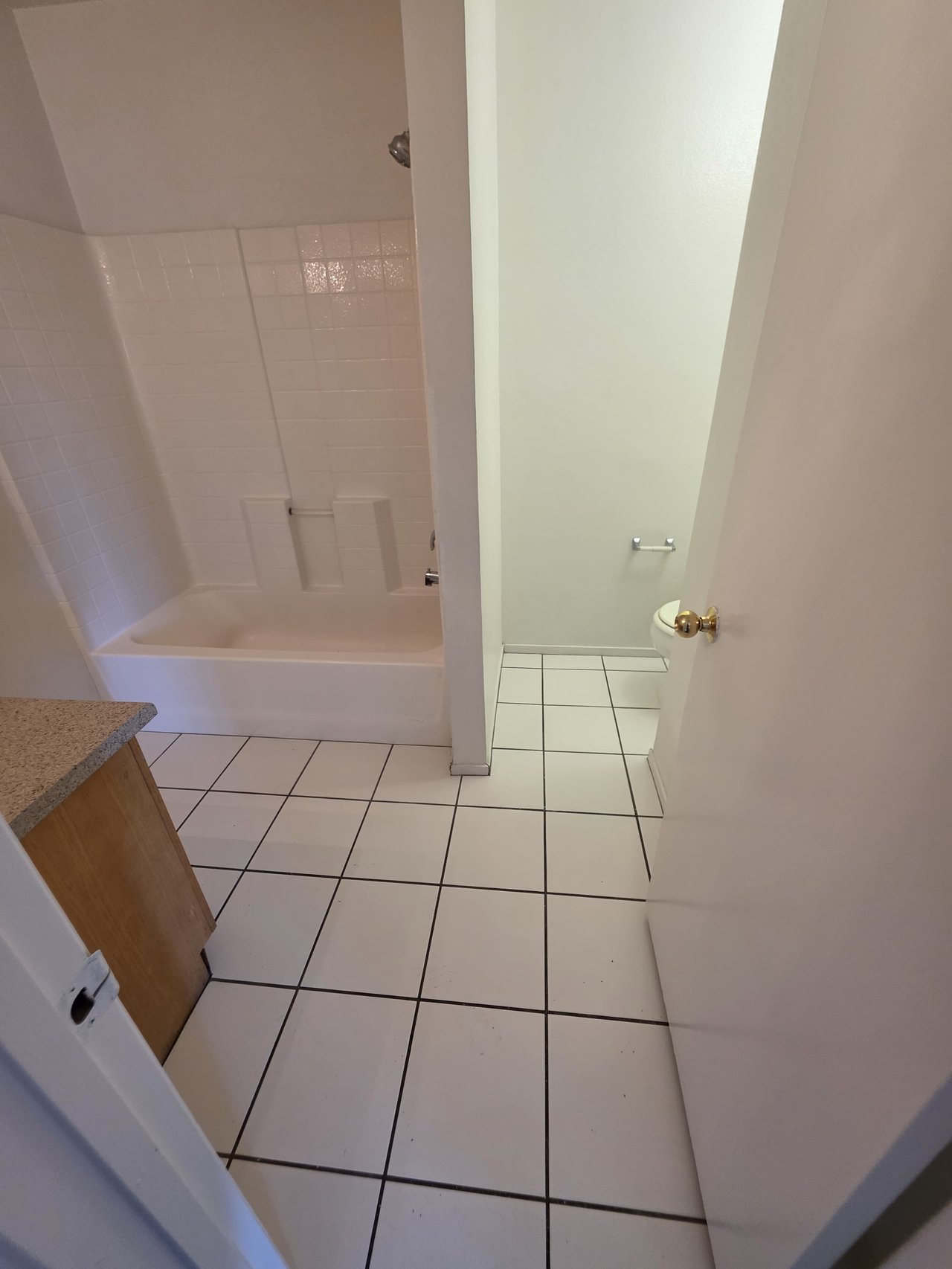 3849 Soda Springs Drive - 1