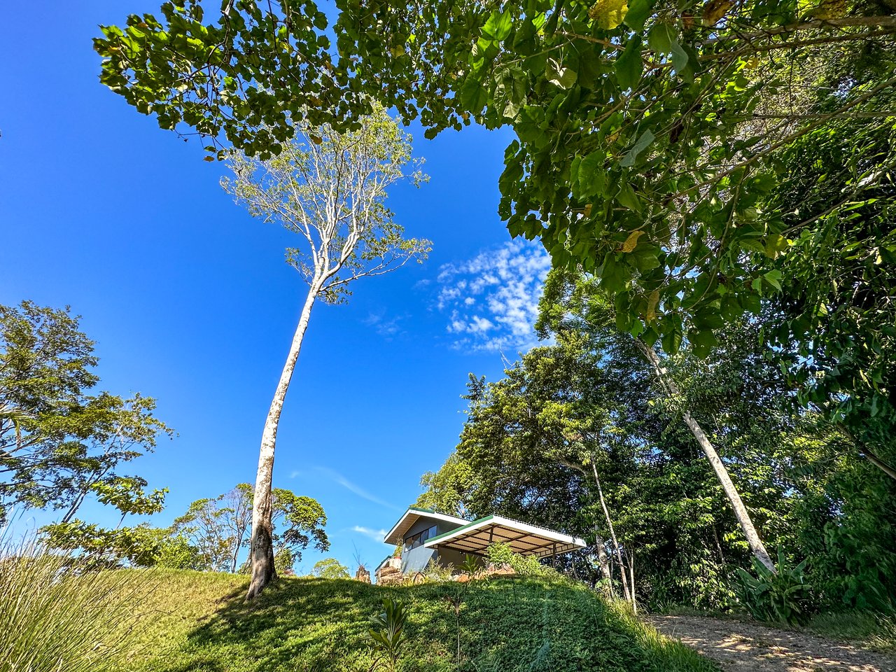 Jungle River Retreat with Airbnb & Build Space in Ojochal